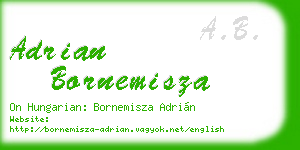 adrian bornemisza business card